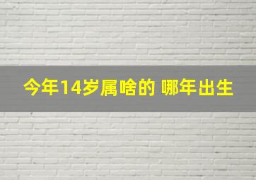 今年14岁属啥的 哪年出生